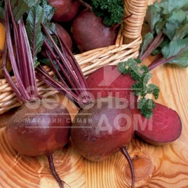 Семена свеклы Нобол / Nobol,70-90 дней купить оптом и в розницу в Украине по выгодной цене