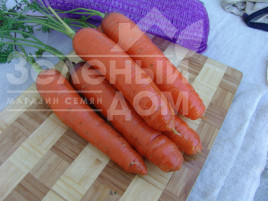 Насіння моркви Кортіна F1 / Kortina F1,150-160 днів купити оптом і в роздріб в Україні за вигідною ціною