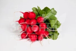 Семена редиса Валери F1 / Valerie F1,25-28 дней купить оптом и в розницу в Украине по выгодной цене