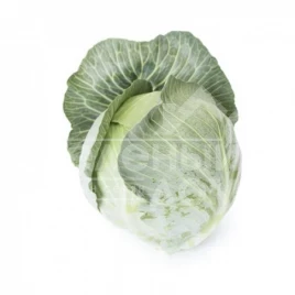 Семена капусты белокочанной Аксиома F1 / Axioma F1,120-125 дней купить оптом и в розницу в Украине по выгодной цене