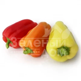 Семена сладкого перца Яника F1 / Janika F1 купить оптом и в розницу в Украине по выгодной цене