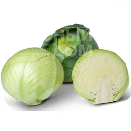 Семена капусты белокочанной Аванто F1 / Avanto F1, 125-135 дней купить оптом и в розницу в Украине по выгодной цене