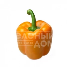 Семена сладкого перца Симпати F1 / Sympathy F1,80-90 дней купить оптом и в розницу в Украине по выгодной цене