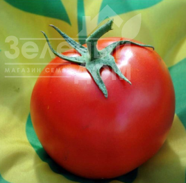 Насіння томатів Немесіс F1 / Nemezis F1,100-110 днів купити оптом і в роздріб в Україні за вигідною ціною