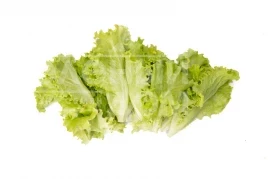 Семена салата Афилион / Aphylion купить оптом и в розницу в Украине по выгодной цене