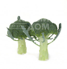 Насіння капусти броколі Орантес F1 / Orantes F1,70-90 днів купити оптом і в роздріб в Україні за вигідною ціною