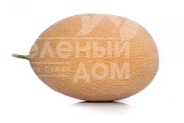 Насіння дині Локум F1 / Lokum F1,70-75 днів купити оптом і в роздріб в Україні за вигідною ціною