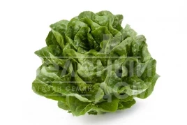 Семена салата Квинтус / Quintus купить оптом и в розницу в Украине по выгодной цене