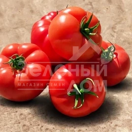 Семена томатов Мейс F1 / Meic F1,100-105 дней купить оптом и в розницу в Украине по выгодной цене