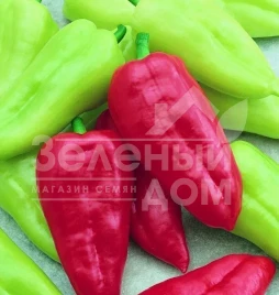 Семена сладкого перца Словакия / Slovakia,50-60 дней купить оптом и в розницу в Украине по выгодной цене