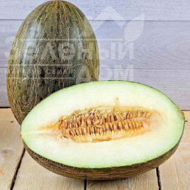 Насіння дині П'єле де сапо / Pʹele de sapo купити оптом і в роздріб в Україні за вигідною ціною