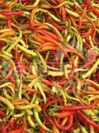 Семена горького перца Спираль F1 / Spiral F1 купить оптом и в розницу в Украине по выгодной цене