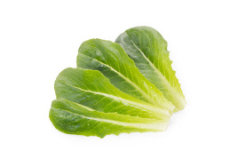 Насіння салату Дейволт / Daywalt купити оптом і в роздріб в Україні за вигідною ціною