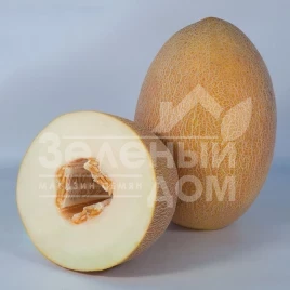 Семена дыни Кубус (КС 6188) F1 / Kubus (KS 6188) F1,75-80 дней купить оптом и в розницу в Украине по выгодной цене