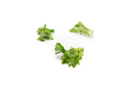 Насіння салату Тамбей / Tambay купити оптом і в роздріб в Україні за вигідною ціною