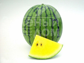 Насіння кавуна Пріморанж F1 / Primaorange F1 купити оптом і в роздріб в Україні за вигідною ціною