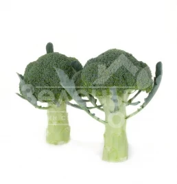 Семена капусты брокколи Орантес F1 / Orantes F1,70-90 дней купить оптом и в розницу в Украине по выгодной цене