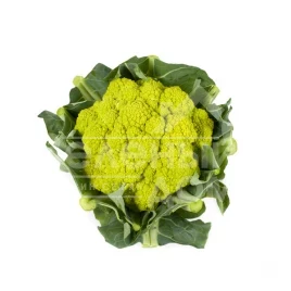 Семена капусты цветной Гильверде F1 / Gilverde F1, 65-90 дней купить оптом и в розницу в Украине по выгодной цене