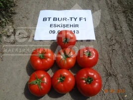 Насіння томату Бурті F1 / Burti F1, 70-75 днів купити оптом і в роздріб в Україні за вигідною ціною