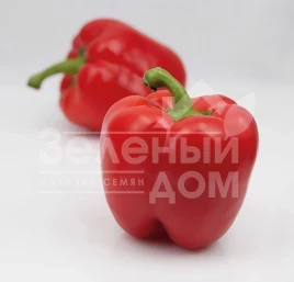 Семена сладкого перца Екла F1 / Ekla F1,60-62 дня купить оптом и в розницу в Украине по выгодной цене