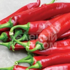 Семена горького перца Хирош F1 / Hirosh F1,50 дней купить оптом и в розницу в Украине по выгодной цене