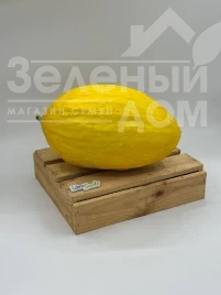 Диня ЛС 10 F1 / LS 10 F1, 68-72 днів купити оптом і в роздріб в Україні за вигідною ціною