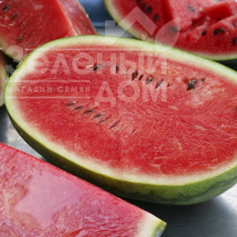 Насіння кавуна Прізматика F1 / Prizmatika F1,80 днів купити оптом і в роздріб в Україні за вигідною ціною