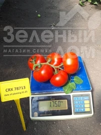Насіння томату ЦРХ 78713 F1 / CRX 78713 F1 купити оптом і в роздріб в Україні за вигідною ціною