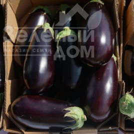 Насіння баклажанів Джокер F1 (ЦРХ 50125) / Joker F1 (CRX 50125),50-55 днів купити оптом і в роздріб в Україні за вигідною ціною