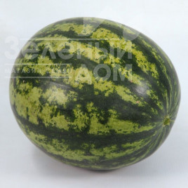 Насіння кавуна КС 633 F1 / KS 633 F1, 65-68 днів купити оптом і в роздріб в Україні за вигідною ціною