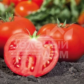 Семена томатов Ками (КС 898) F1 / Kami (KS 898) F1,97-105 дней купить оптом и в розницу в Украине по выгодной цене