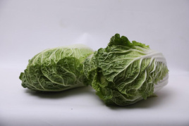 Насіння капусти пекінської Тахіра F1 / Tahira F1 купити оптом і в роздріб в Україні за вигідною ціною