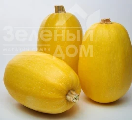 Семена тыквы Примавера F1 / Primavera F1, 90 дней купить оптом и в розницу в Украине по выгодной цене