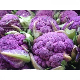 Семена капусты цветной Пурпурина F1 / Purpurina F1, 55 - 65 дней купить оптом и в розницу в Украине по выгодной цене