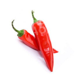 Насіння гіркого перцю Черай F1 / Cheraj F1 купити оптом і в роздріб в Україні за вигідною ціною