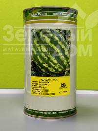 Насіння кавуна Галактика / Galaktika,63-65 днів купити оптом і в роздріб в Україні за вигідною ціною