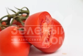 Семена томатов Ариозо F1 / Ariozo F1,110-120 дней купить оптом и в розницу в Украине по выгодной цене