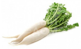 Насіння редьки Еверест F1 / Everest F1,60-65 днів купити оптом і в роздріб в Україні за вигідною ціною