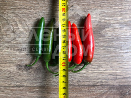 Насіння гіркого перцю Шарп F1 / Sharp F1 купити оптом і в роздріб в Україні за вигідною ціною