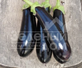 Семена баклажана Мабел F1 / Mabel F1,95 дней купить оптом и в розницу в Украине по выгодной цене