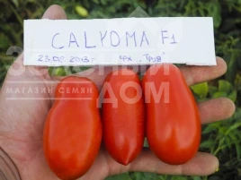 Насіння томату Калрома F1 / Calroma F1, 100 днів купити оптом і в роздріб в Україні за вигідною ціною