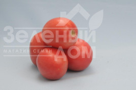 Насіння томатів Камелот (LS 1264)  F1 / Kamelot (LS 1264)  F1,100 - 110 днів купити оптом і в роздріб в Україні за вигідною ціною