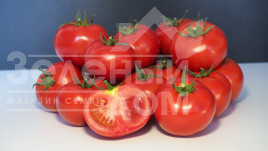 Томат Галаксін F1 / Halaksyn F1  купити оптом і в роздріб в Україні за вигідною ціною