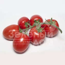 Семена томатов Банти F1 (КС 3819 F1) / Banty F1 (KS 3819 F1),105-115 дней купить оптом и в розницу в Украине по выгодной цене