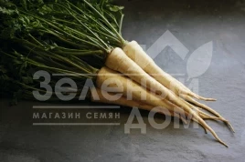 Семена петрушки Игл / Eagl,135 дней купить оптом и в розницу в Украине по выгодной цене