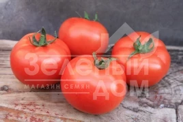 Семена томатов Монсан F1 / Monsan F1,85-100 дней купить оптом и в розницу в Украине по выгодной цене