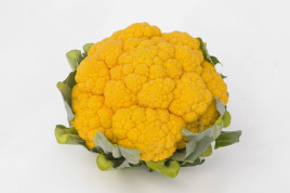 Насіння капусти цвітної Клементин F1 / Clementine F1, 75-80 днів купити оптом і в роздріб в Україні за вигідною ціною