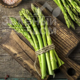Насіння спаржі Аспарагус UG 157 F1 / Asparagus UG 157 F1 купити оптом і в роздріб в Україні за вигідною ціною