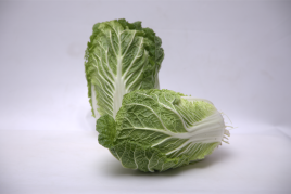 Насіння капусти пекінської Ясіра F1 / Yasira F1 купити оптом і в роздріб в Україні за вигідною ціною