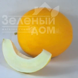 Насіння дині Шинарі (КС 7066) F1 / Shinary (KS 7066) F1,75-80 днів купити оптом і в роздріб в Україні за вигідною ціною